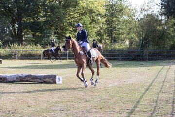 Bild 159 - Pony Akademie Turnier